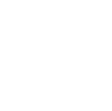 Slots icon